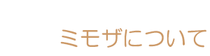 button_about